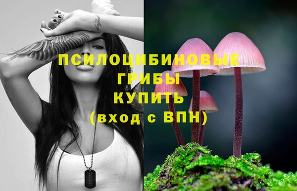 ешки Алзамай