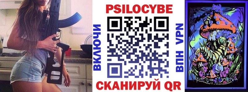 Псилоцибиновые грибы Cubensis  сколько стоит  Цимлянск 